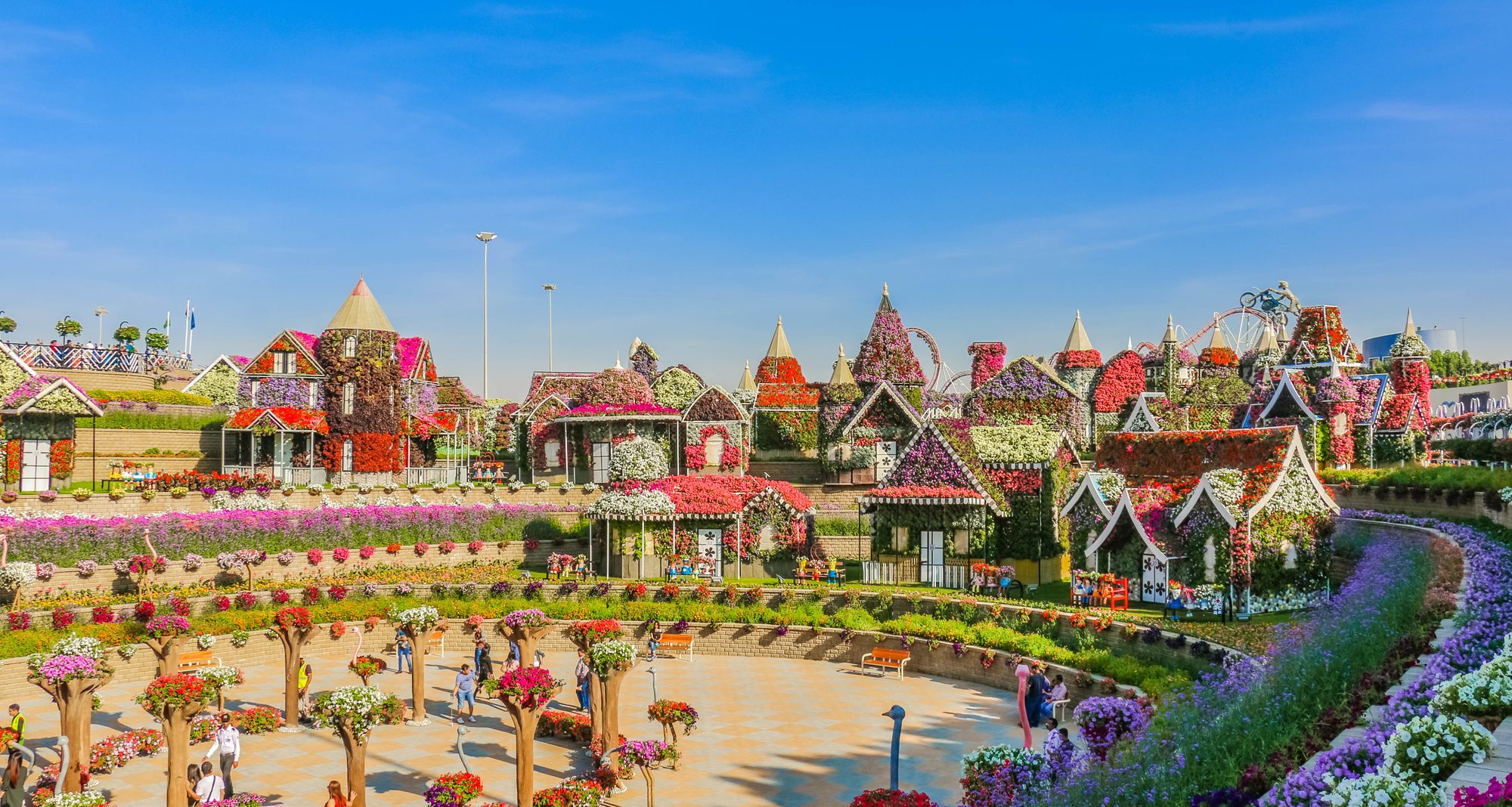 The miracle Gardens in Dubai