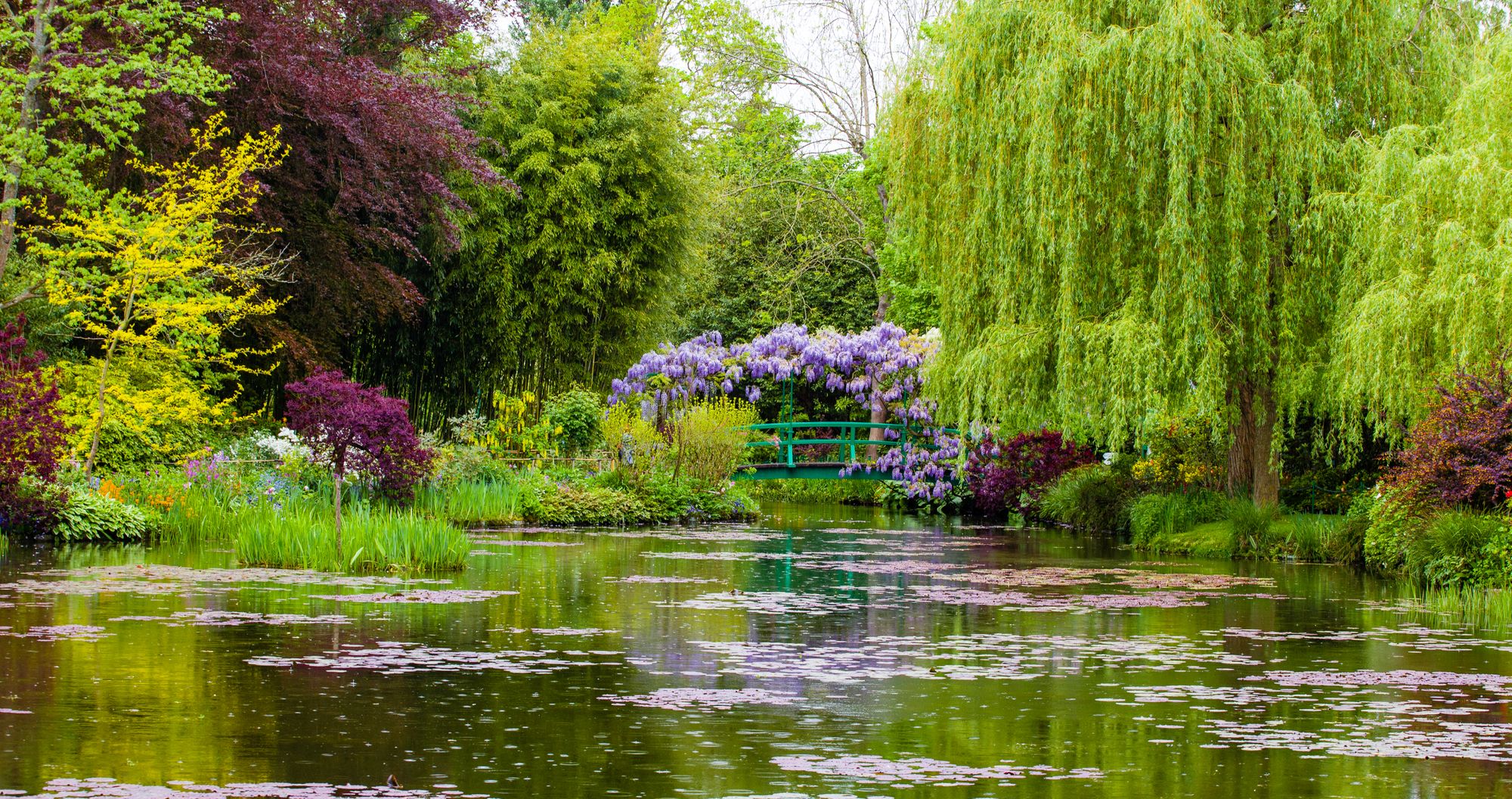 Monets japanischer Garten