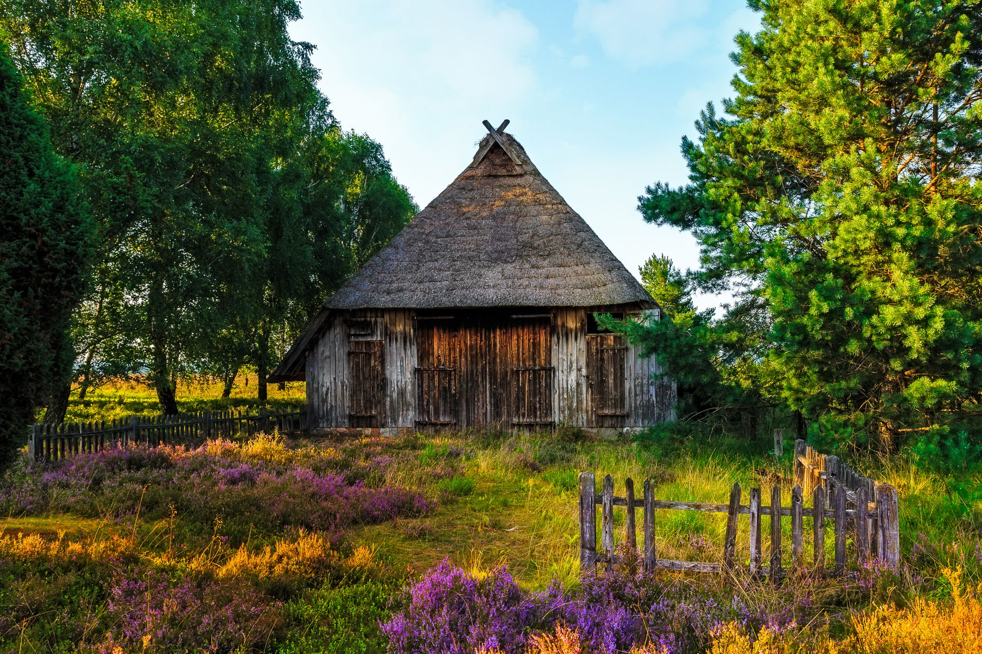 Lüneburger Heide